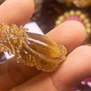 Long Quy: Một Loài Thú Lành - Chủ Cát Tường Chiêu Tài Giải Tam Sát 71