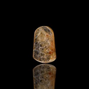 Mặt Hoàng Tài Bảo Thiên - Tóc vàng bã mía #MTV0087 2