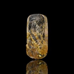 Mặt Hoàng Tài Bảo Thiên - Tóc vàng bã mía #MTV0135 2