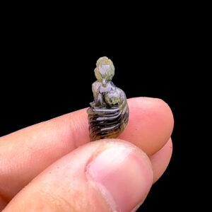 Mặt Hồ Ly - Đá Sapphire Tự Nhiên #MSP-240104-02